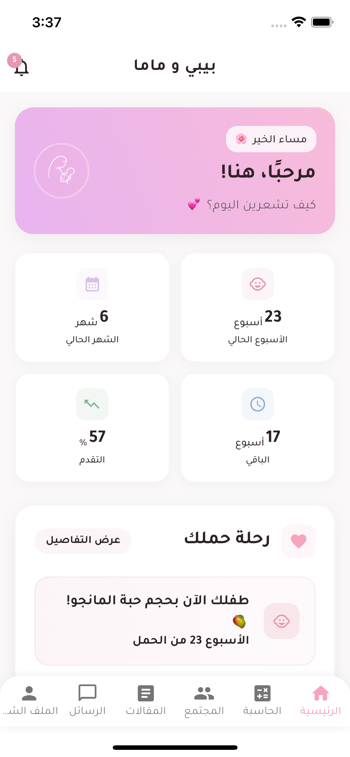 الصفحة الرئيسية